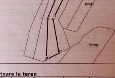 Teren Piatra-Neamt Teren Piatra-Neamt - 2