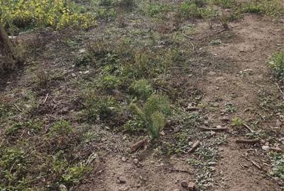 Teren de 1200 mp, în Valu lui Traian