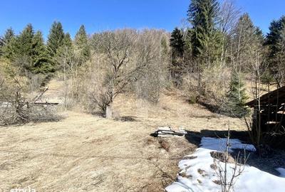 Casă cu 3 camere în Sălciua - 8