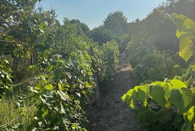 Casă cu 4 camere în Central - 4