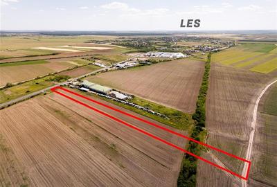 Teren intravilan de 7959 mp, în Nojorid - 7