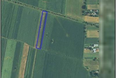 Spațiu comercial, în Leordeni - 11