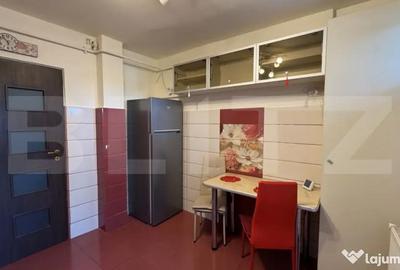 Apartament cu 3 camere semidecomandat, mobilat în George Enescu - 12