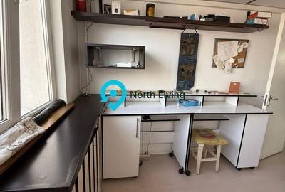 Apartament cu 3 camere semidecomandat în Ozana - 16