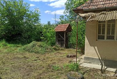 Teren de 2400 mp, în Dobrin - 3