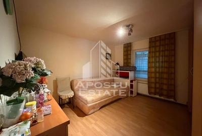 Duplex cu 3 camere, 2 bai, 2 bucatarii, teren 222 mp, zona Elisabetin - 2