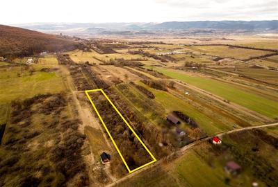 Teren Construcții intravilan de 5361 mp, în Vadu Crișului - 5