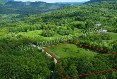 Teren de vanzare in comuna Corbi, jude? Arge?. - 10