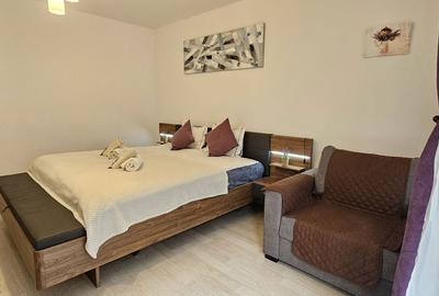 Garsonieră în Bartolomeu - 18