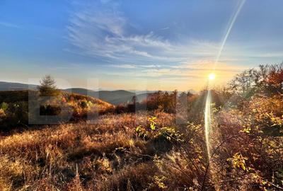 Teren de vanzare - 1