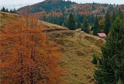 Teren de 2000 mp, în Curățele - 6