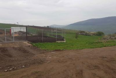 Teren de 3750 mp, în Rădaia - 3