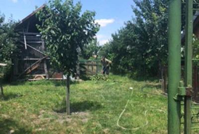 Casă cu 4 camere cu Teren 3000 Mp în Ianoșda - 2