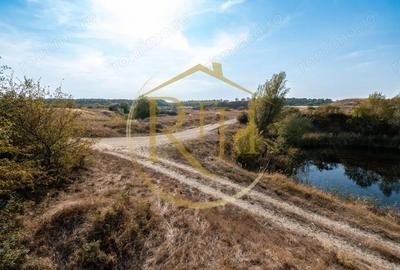 Investi?ie unica, 10 ha teren cu luciu de apa, ideal pentru turism ?i agrement! - 16