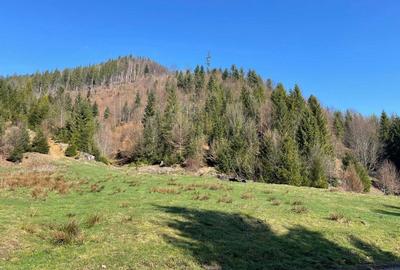 Spațiu comercial, în Voroneț - 2