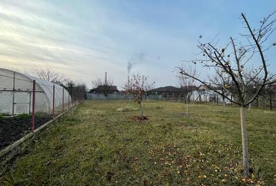 Teren 900 mp în Chișoda – Locație excelentă, ideal pentru casa ta! 🏡✨ - 3