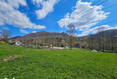 Teren de 2000 mp, în Valea Doftanei - 9