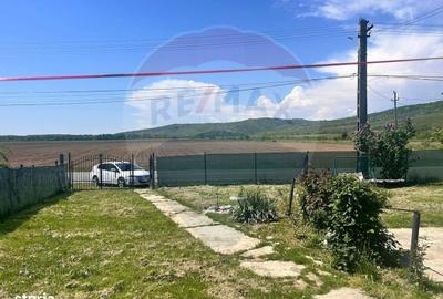 Casă cu 4 camere în Dumbrăvești - 10