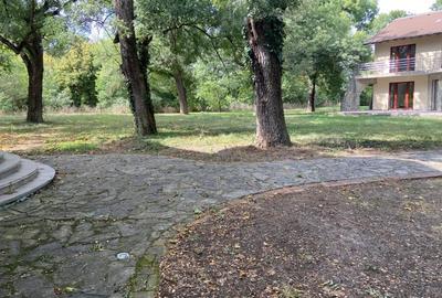 Proprietate inedita cu teren de 4400, si deschidere cu ponton pe Bega - 8