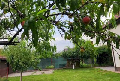 Casă cu 3 camere cu Teren 786 Mp în Domnești - 1