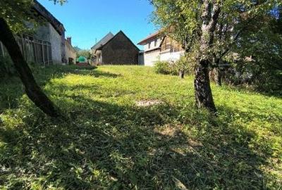 Casă individuală cu 2 camere cu Teren 520 Mp în Baciu - 5