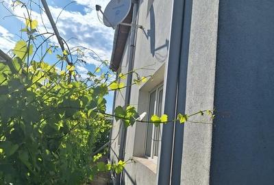 Casă cu 5 camere cu Teren 4200 Mp în Central - 12
