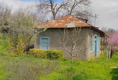 Casă cu 7 camere în Somova - 1