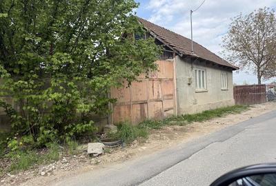 Casă cu 3 camere cu Teren 2400 Mp în Brădet - 4