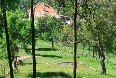 Teren livadă cu panoramă superbă Dealul Malului pentru casă sau cabană - 6