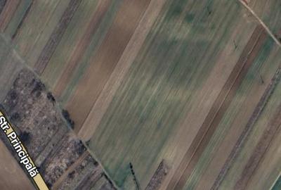 Teren Construcții intravilan de 11000 mp, în Coșoveni - 1