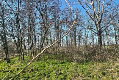 Proprietate de vanzare in Dombegyhaza - Pretabil pentru ferma - 1