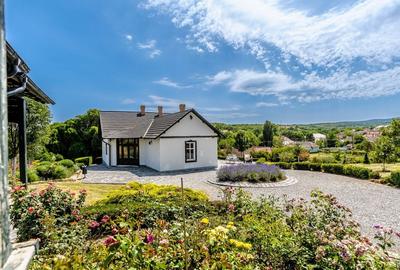 Visezi la o proprietate unică, plină de istorie și farmec? - 3