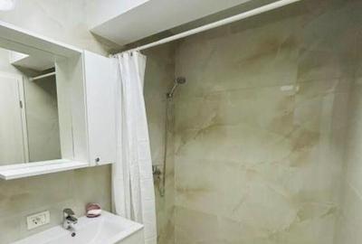 Dimitrie leonida berceni metrou biruintei 81 - 9