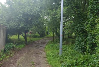 Casă cu 5 camere în Giulești - 18