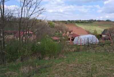 Spațiu comercial, în Central - 2