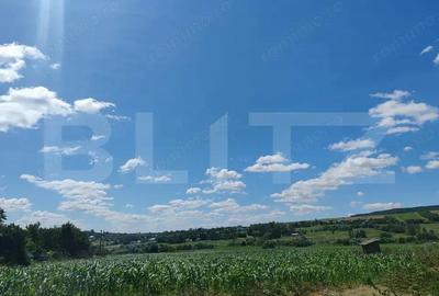 Teren 9600 mp si casa batraneasca demolabila, Dealu - 2