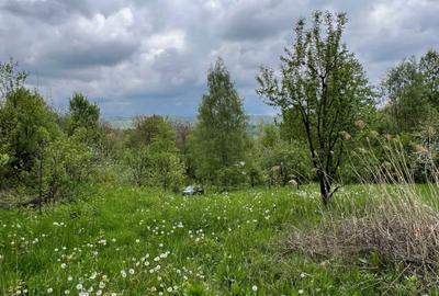 Spațiu comercial, în Podul Vadului - 7