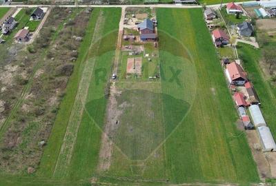 Teren de vanzare intravilan Catalina - 10