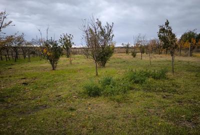 Casa de vanzare in Ungaria ,Pocsaj 35km de vama Bor? - 7
