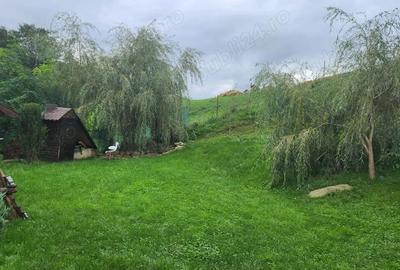 Casă cu 2 camere cu Teren 700 Mp în Sălicea - 1