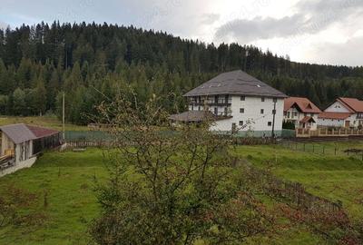 Teren de 1360 mp, în Voroneț - 4