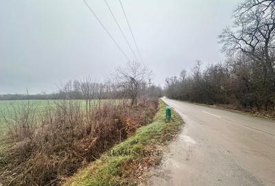 Giroc Teren 30.000mp PUZ APROBAT Pentru Case | Asfalt - Langa Padure - 5