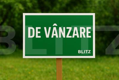 Teren intravilan 1000 mp in Zona Lebada - oportunitate excelenta de investitie! - 1