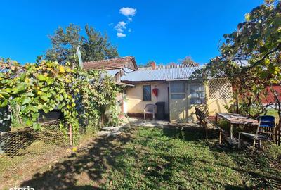 Casă cu 3 camere cu Teren 1400 Mp în Răcari - 1