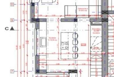 Duplex in zona Lipovei - 22