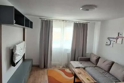 Apartament 2 camere, str. Lugojului, cu centrala proprie - 8