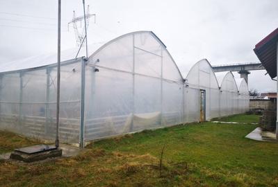 Teren agricol intravilan de 12000 mp, în Ciofrângeni