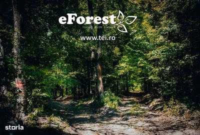 Spațiu comercial, în Crevedia - 6