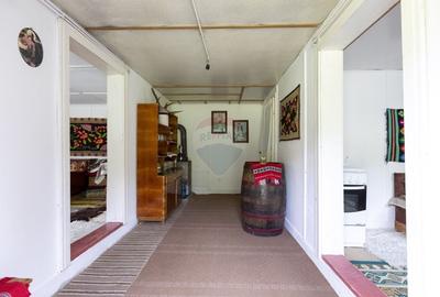 Ferma de vanzare, teren 21436 mp intravilan, Cosnea, Agas - 19