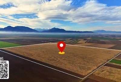 Teren 32,5 Ha compact Prejmer, Brasov. Imagini drona,tur/360 - 1